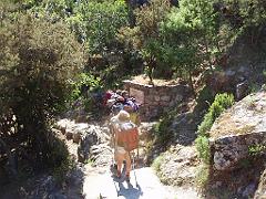 2009-05Corse (195)